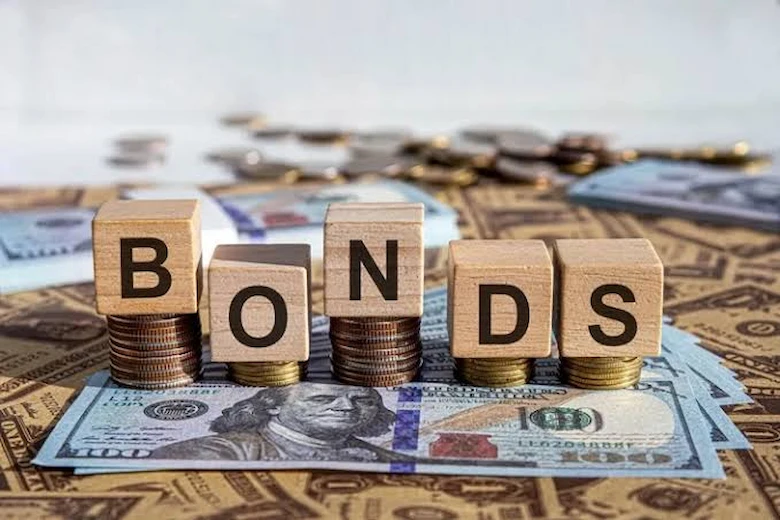 a picture of Government Bonds Investment