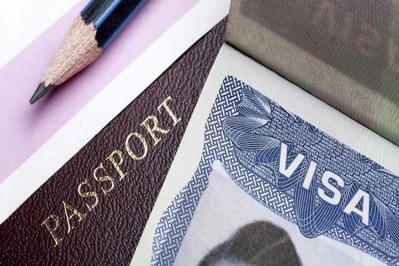 a picture of Startup Visa